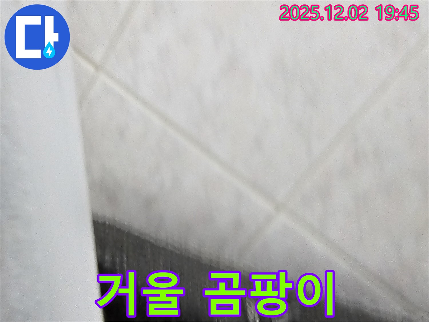 욕실 거울 곰팡이 - 환기 부족으로 습도가 높은 상태입니다.