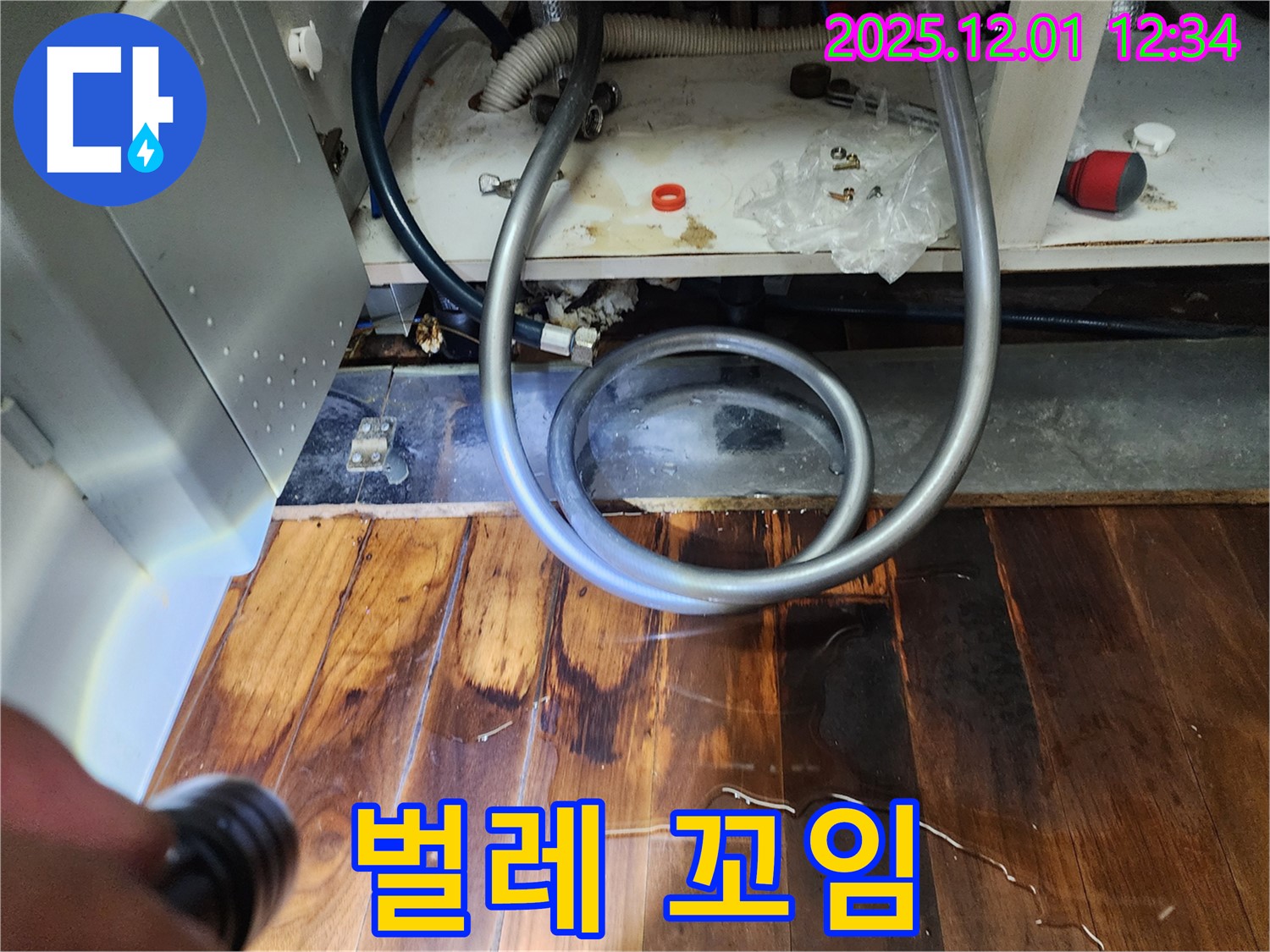 이동면 누수 - 싱크대 배수구 주변 습기, 마루 썩음 및 벌레 꼬임 유발