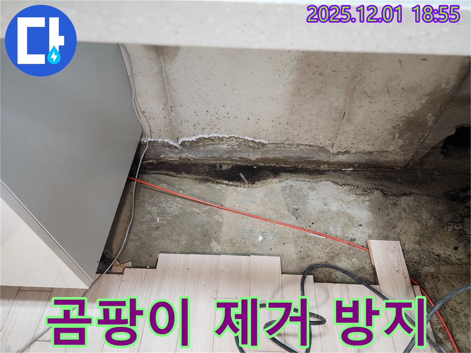 연곡리 싱크대 하부 누수 - 곰팡이 완벽 제거 및 재발 방지 시공