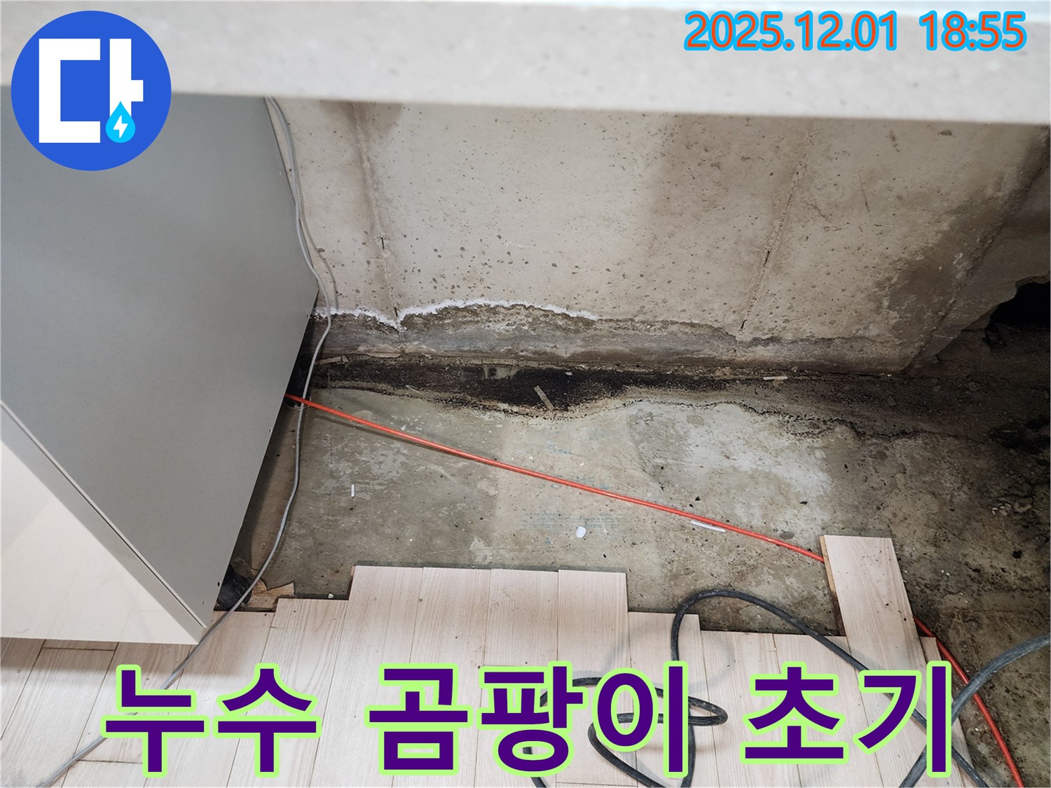포천 이동면 연곡리 싱크대 누수 - 곰팡이 발생 초기 긴급 점검