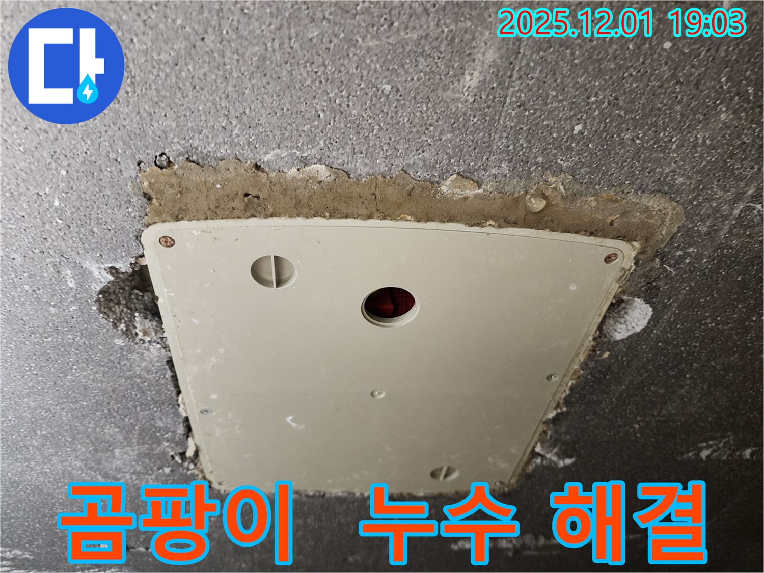 포천 이동면 - 점검구 주변 곰팡이, 누수 해결과 곰팡이 제거까지!