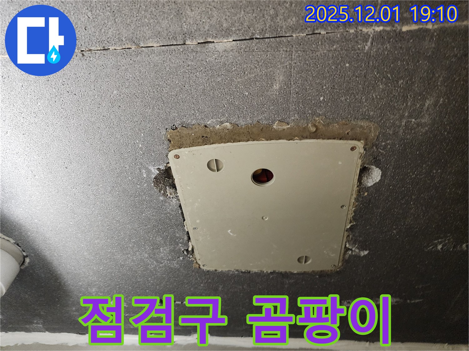 포천시 이동면 연곡리 천장 누수 - 점검구 주변 곰팡이 발생 확인