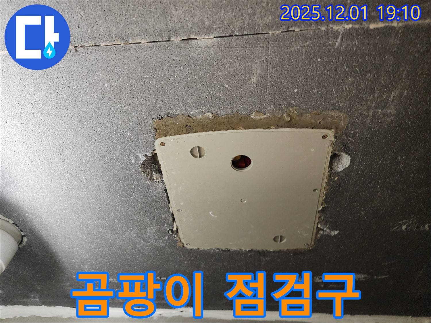 포천시 이동면 연곡리 천장 누수 - 점검구 주변 곰팡이 상태 상세 확인