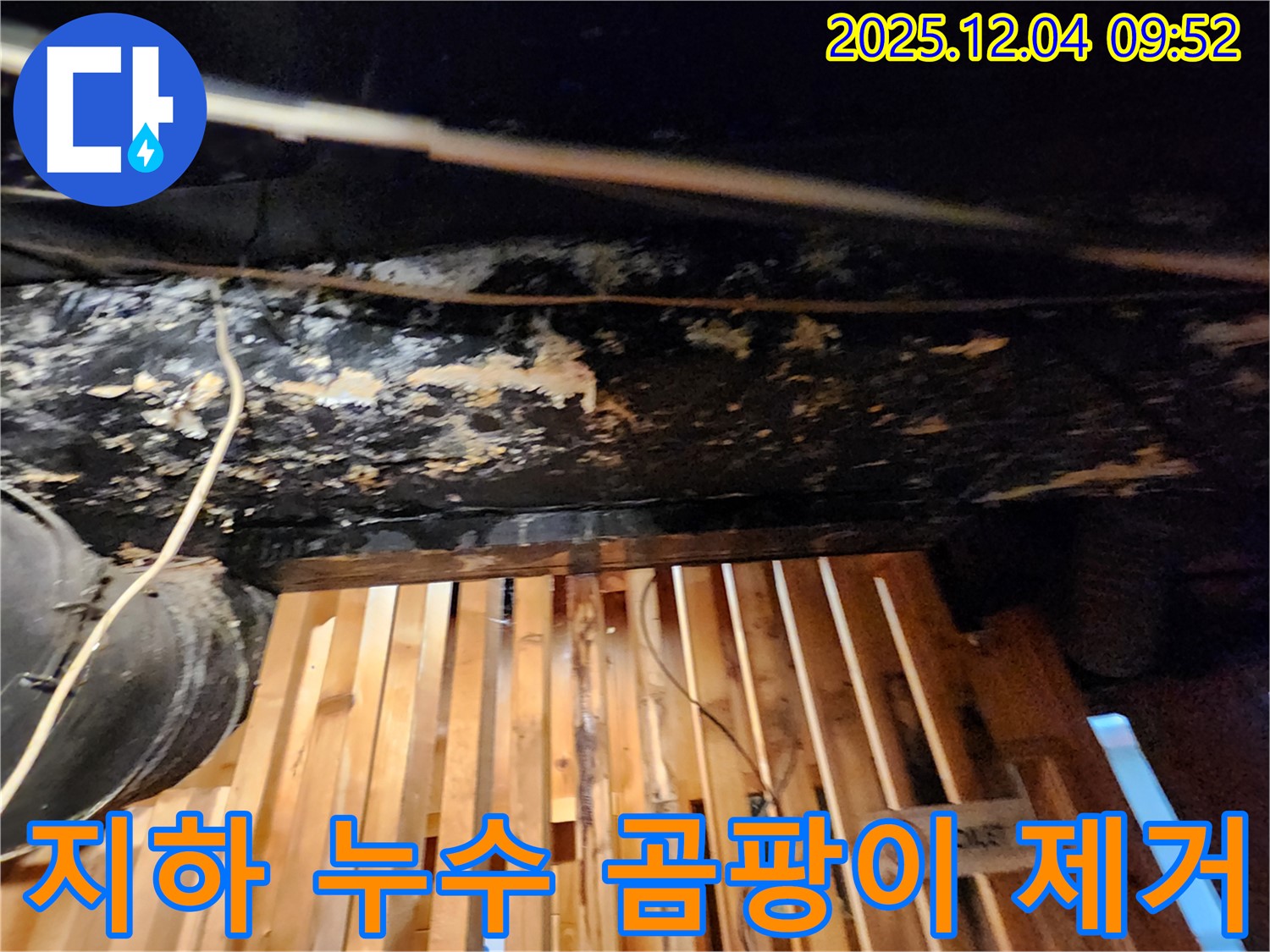 마조로 건물 지하 누수 - 곰팡이 완벽 제거! 쾌적한 공간으로 변신 완료