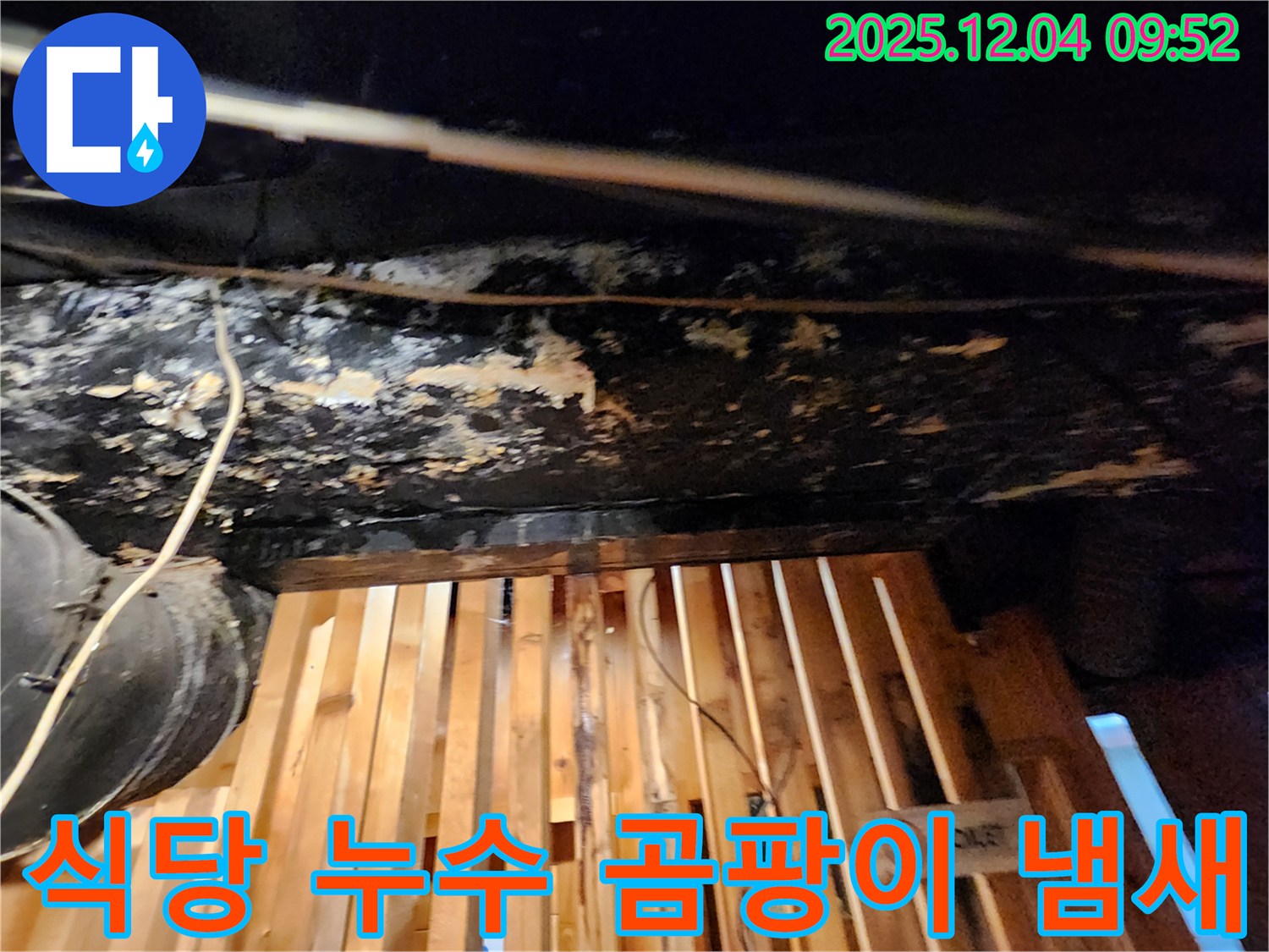 마조로 식당 누수 - 곰팡이 냄새 발생으로 긴급 누수탐지 및 공사 진행