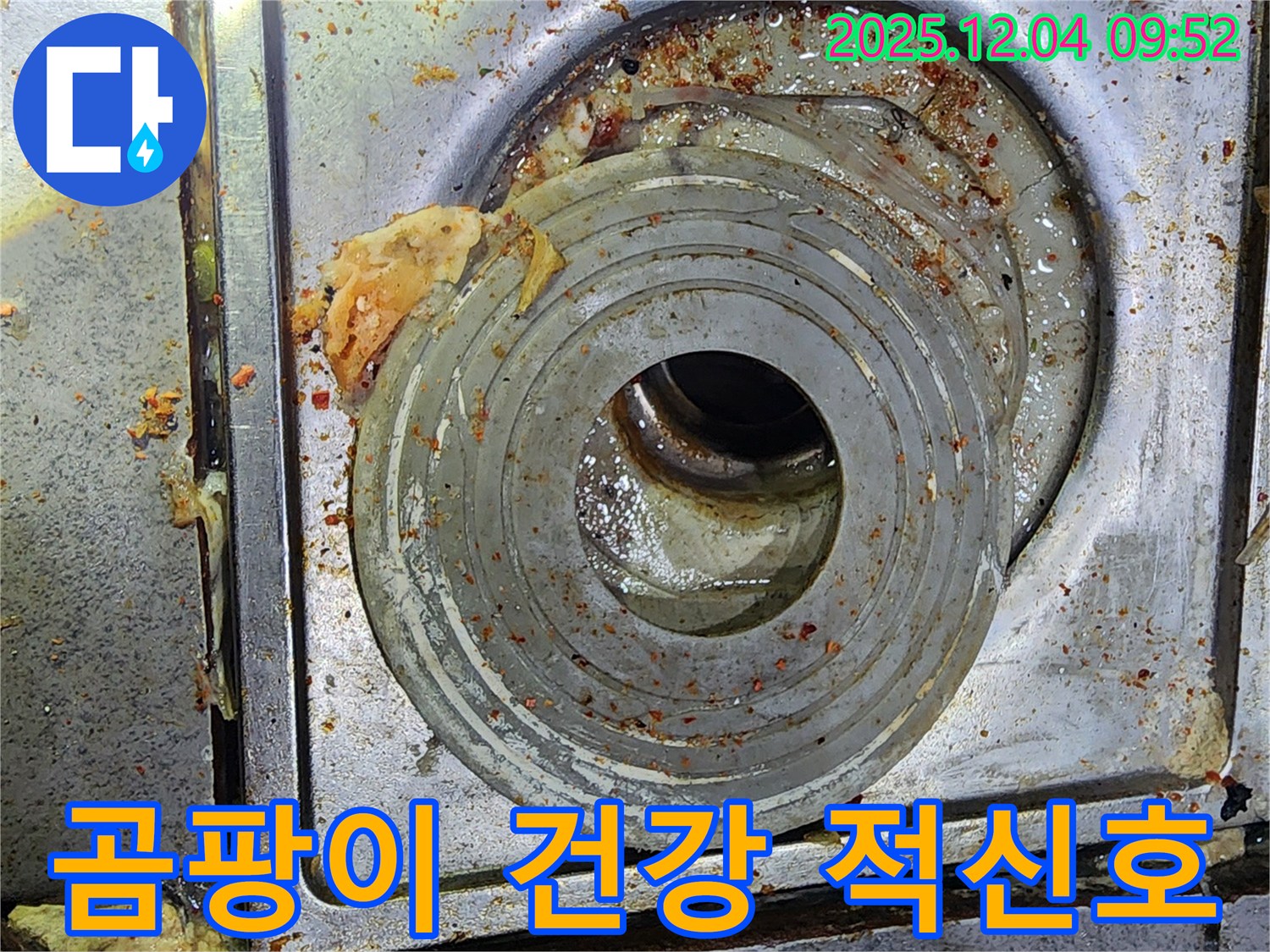 배수구 주변 곰팡이 - 건강 적신호