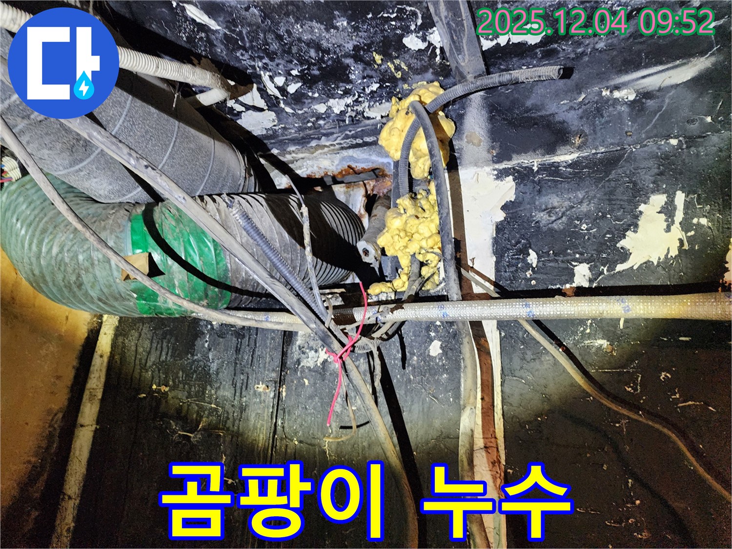 성동구 마장동 누수 현장 - 곰팡이가 심하게 핀 천장의 모습입니다.