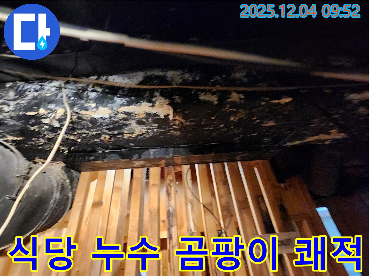 성동구 마조로 - 식당 누수와 곰팡이 문제 해결, 쾌적한 공간으로 되돌리기