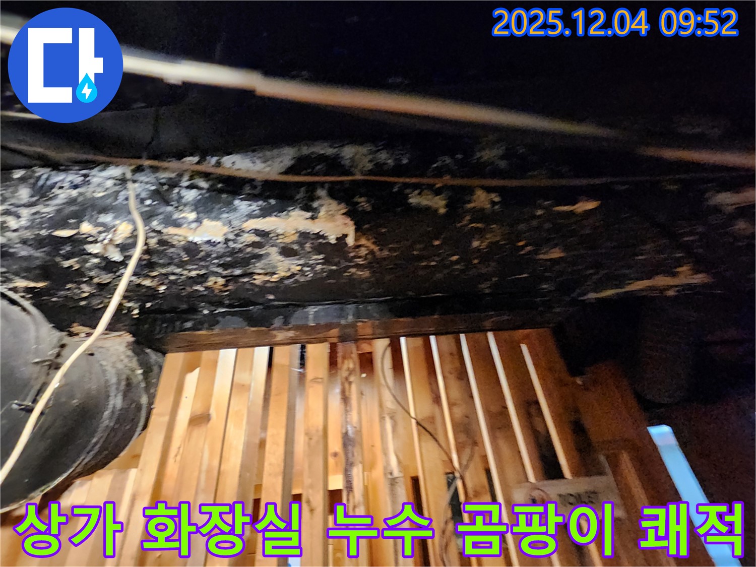 성동구 송정동 - 낡은 상가 화장실 누수와 곰팡이 문제 해결, 쾌적한 공간으로 되돌리기