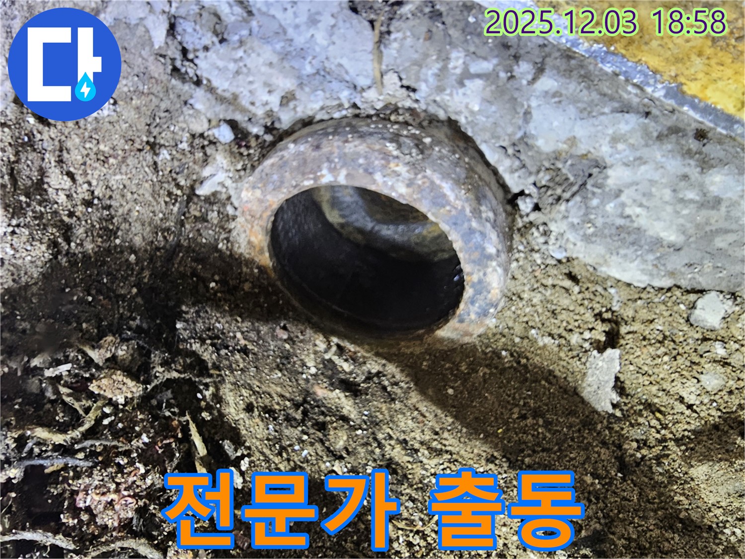 전문가 - 함께 해결