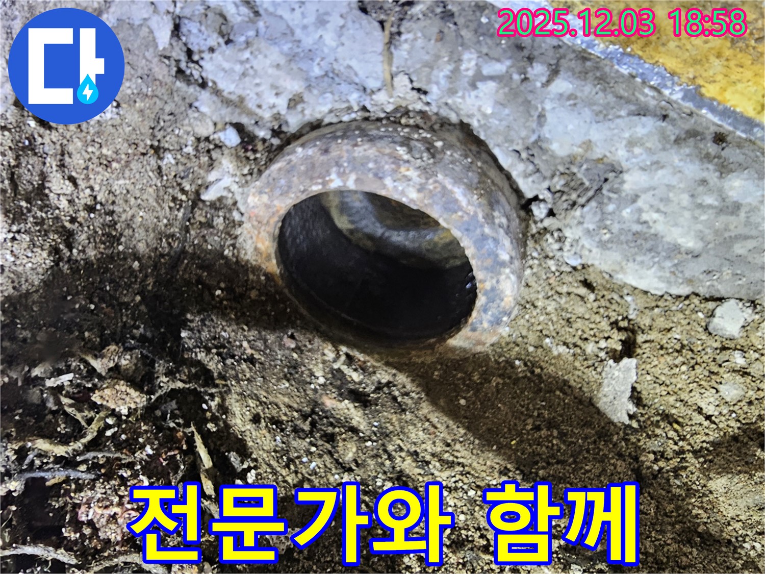 전문가 - 함께 해결