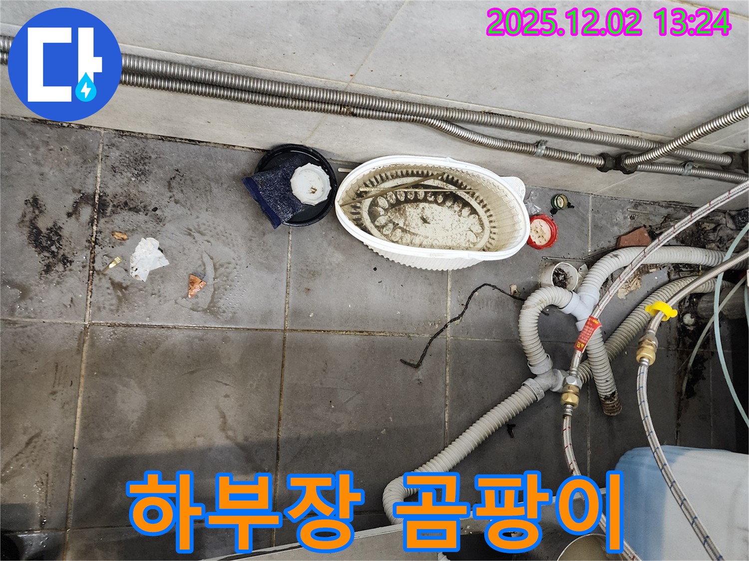 식당 곰팡이 - 누수 해결, 곰팡이 제거