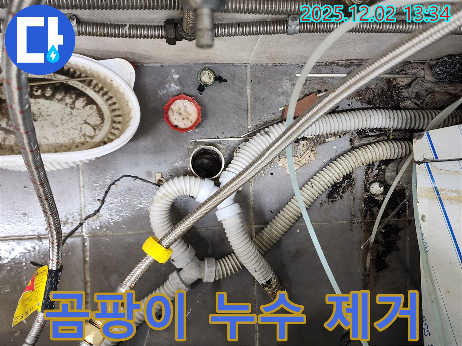 싱크대 밑 곰팡이 - 누수 해결 및 곰팡이 제거