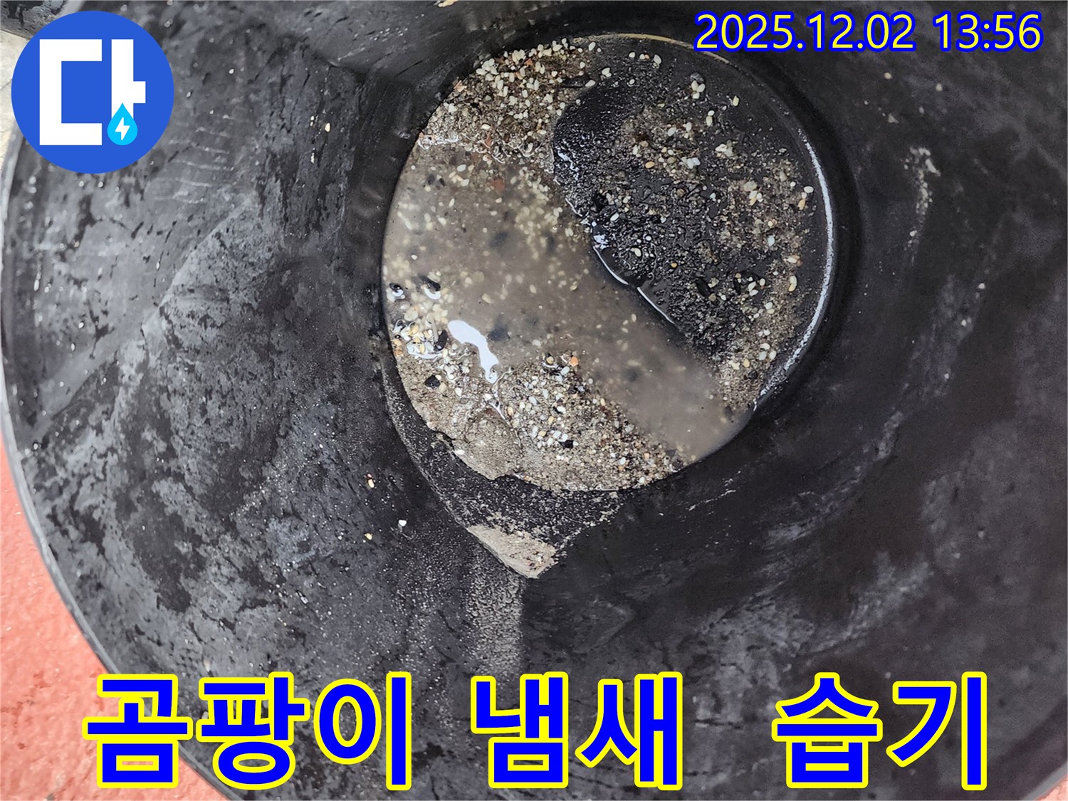 양동이 주변 곰팡이 냄새 - 습기 문제, 건물 손상 우려
