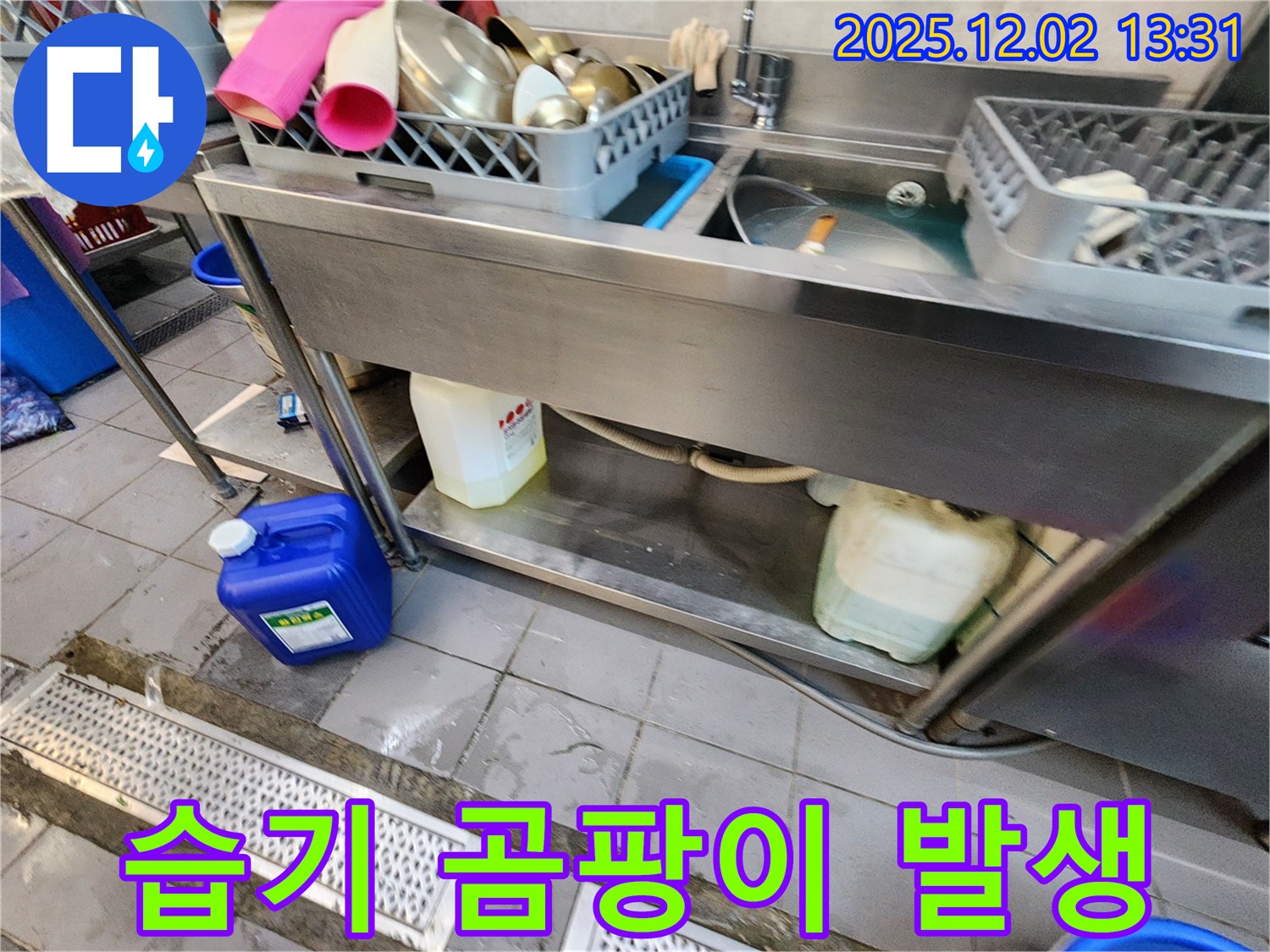 포천 이동면 노곡리 누수 - 식당 싱크대 하부 공간 습기로 인해 곰팡이 심각하게 발생