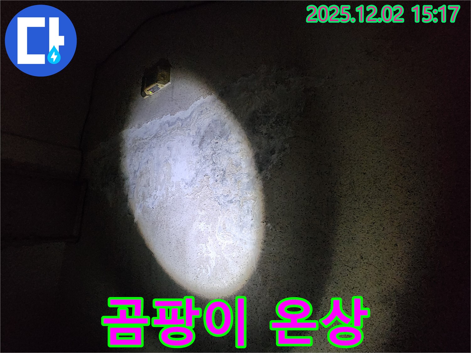 갈라진 벽 - 곰팡이와 습기