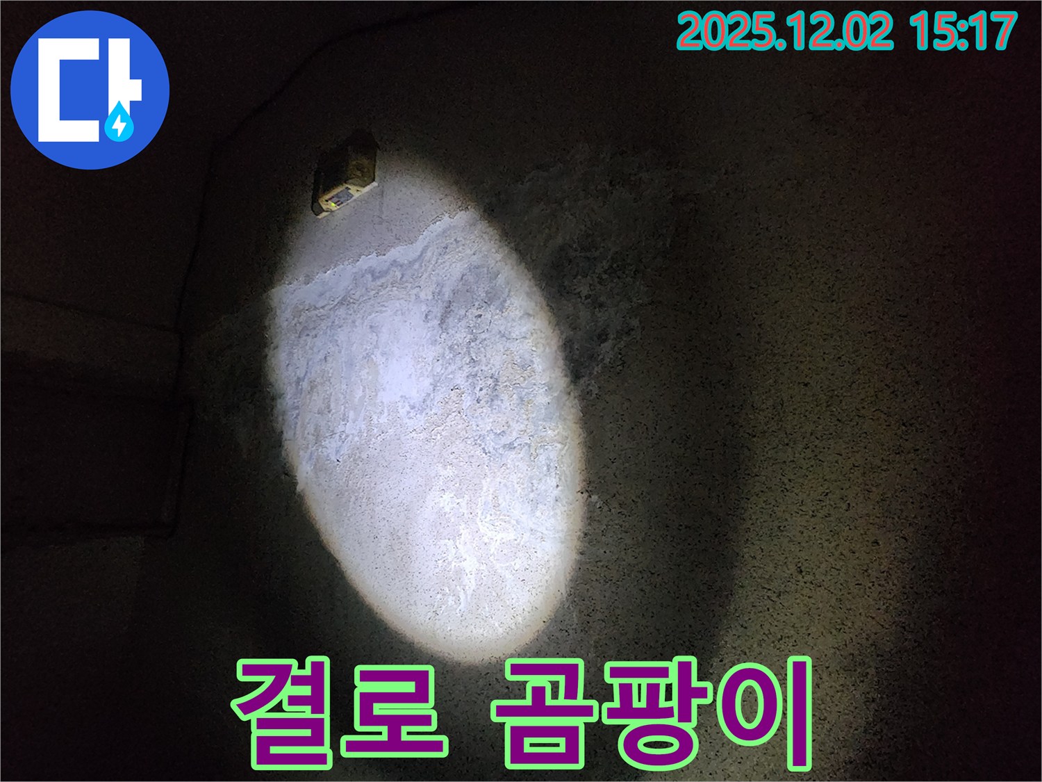 결로 곰팡이 - 실내 공기 위협