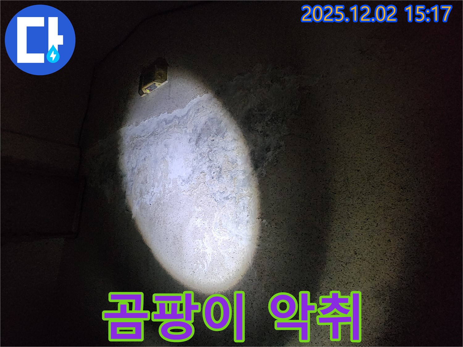 곰팡이 악취 - 삶의 질 저하