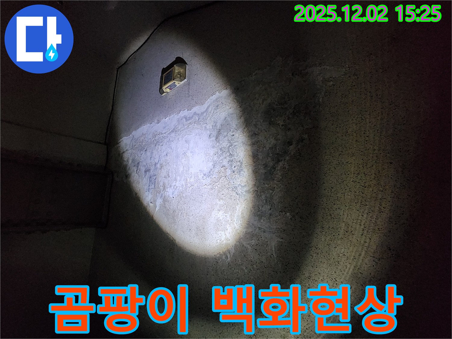 곰팡이와 백화현상 - 누수의 복합적인 증거
