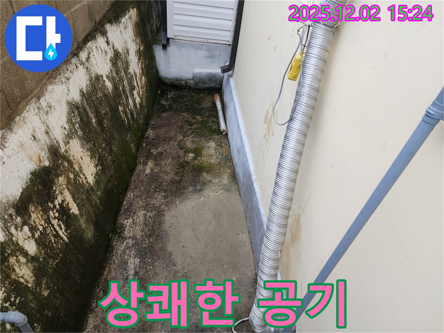 상쾌한 공기 - 곰팡이와 냄새 없는 깨끗한 공간으로!