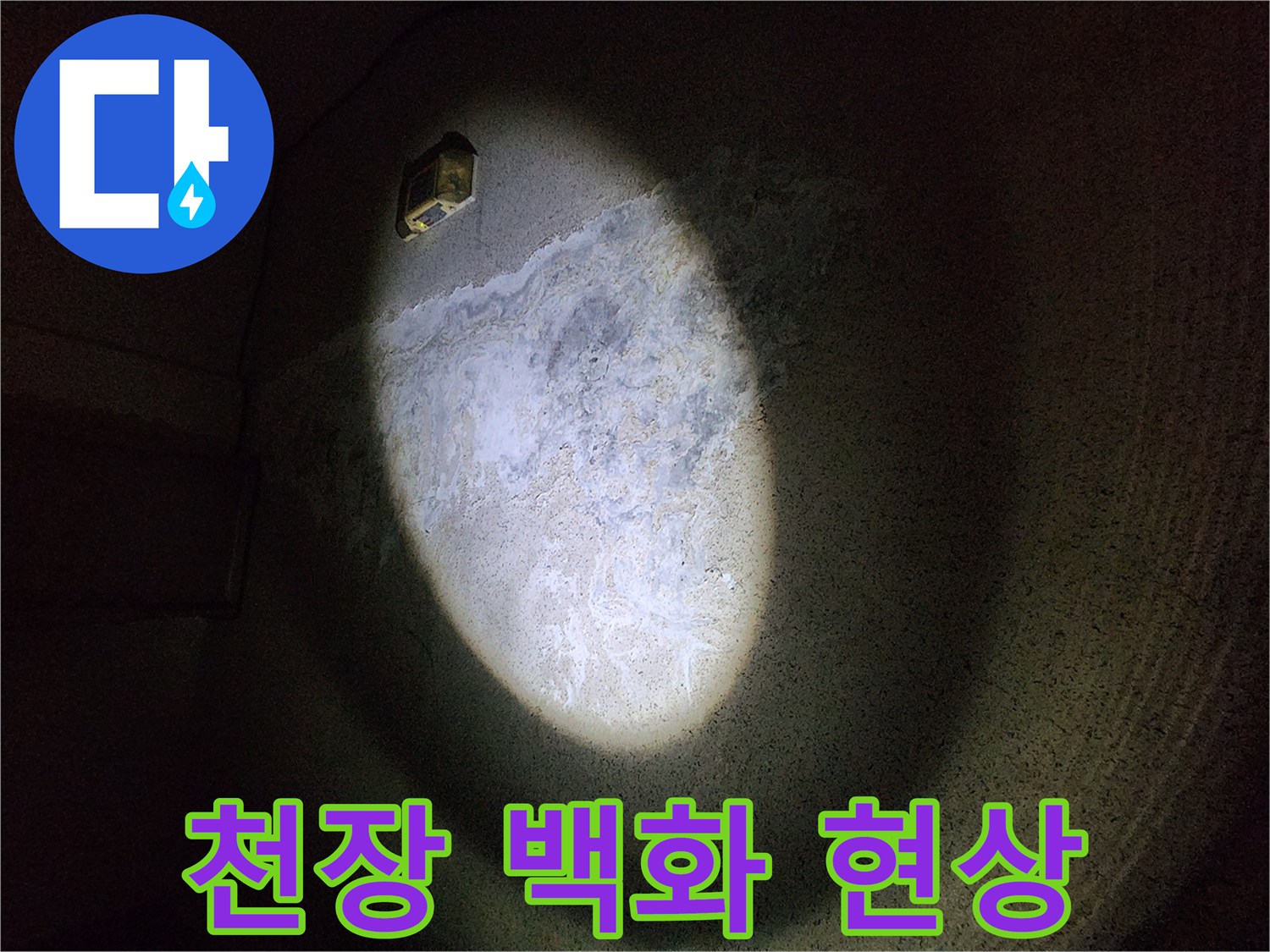 어두운 주차장 천장-백화가 발생한 콘크리트 부위