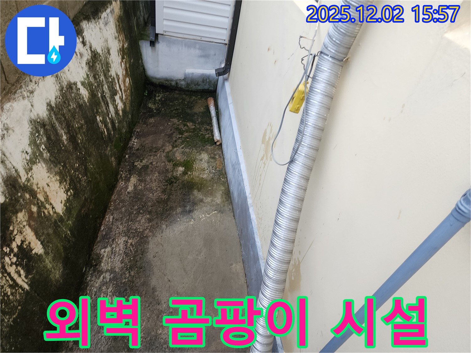 외벽 곰팡이와 습기 - 낡은 배수 시설 점검 및 개선