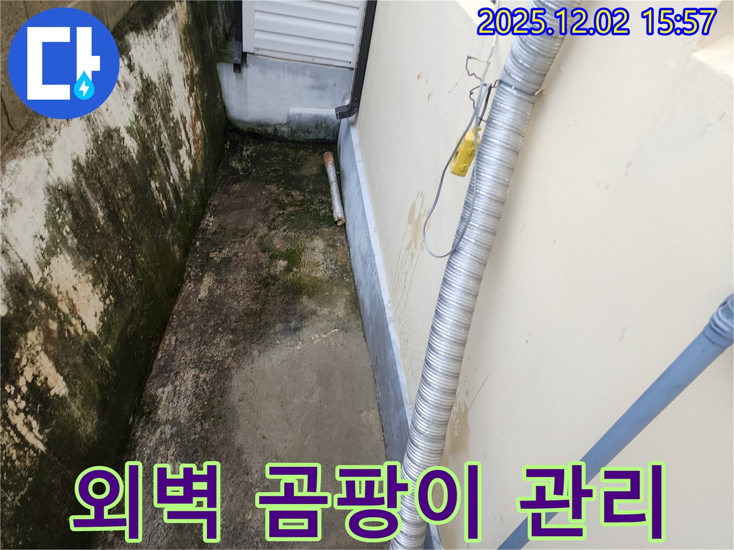 외벽 곰팡이와 습기 - 배수 문제, 꼼꼼한 시공과 철저한 사후 관리