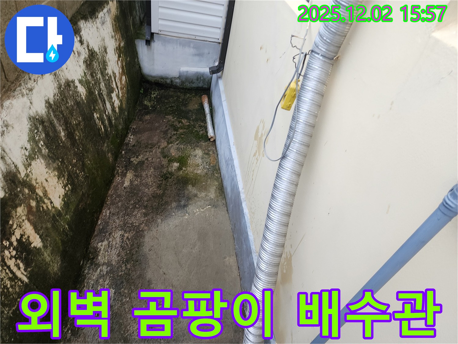 외벽 곰팡이와 습기 - 오래된 배수관 문제 진단