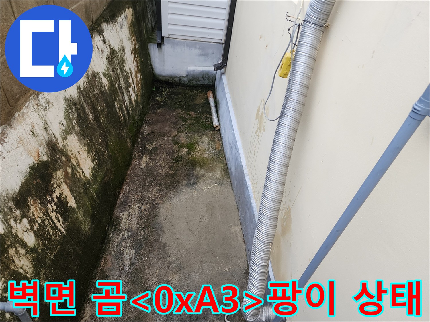 외벽 콘크리트-이끼와 곰팡이 발생
