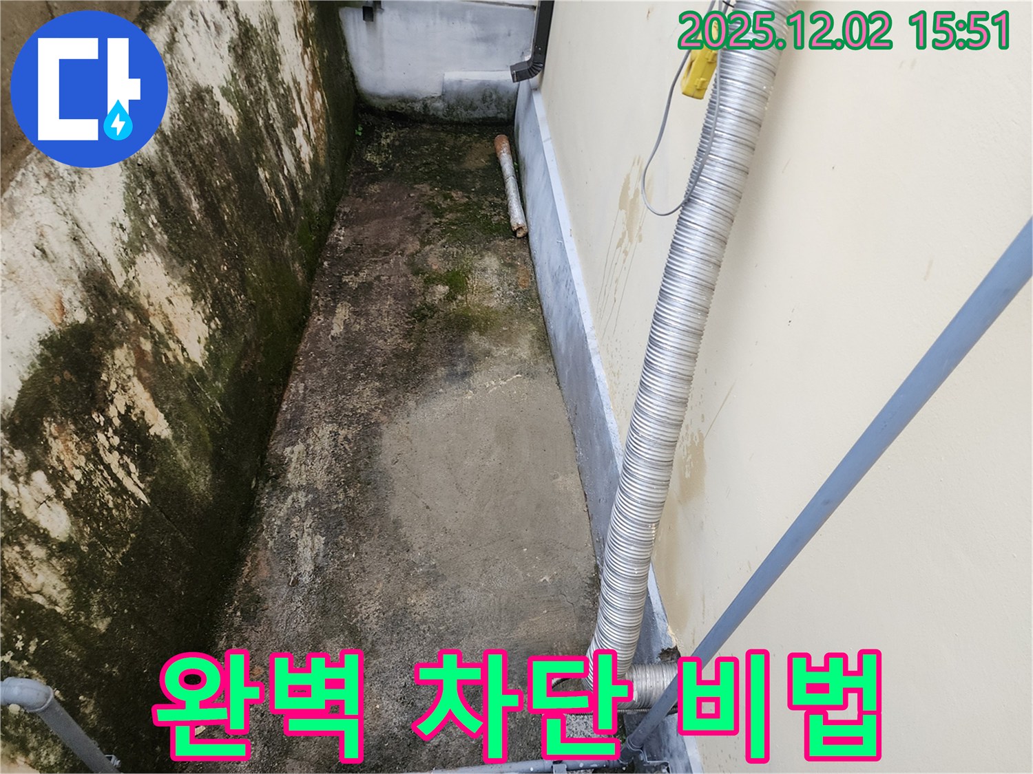 일동면 좁은 공간 곰팡이 - 곰팡이, 습기, 냄새 완벽 차단!