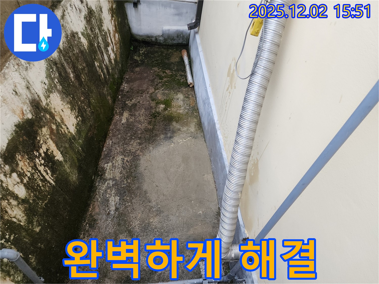일동면 좁은 공간 곰팡이 제거 - 완벽한 시공으로 곰팡이, 냄새, 습기 문제 해결!