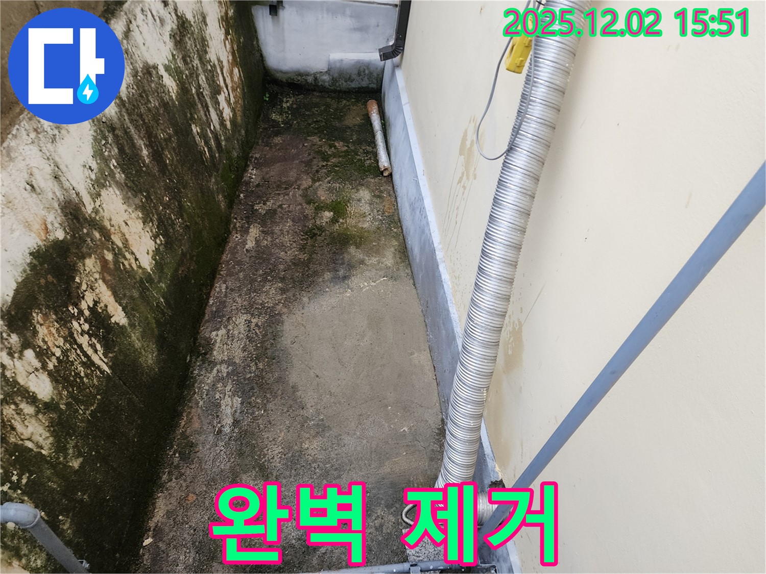 일동면 좁은 공간 곰팡이 제거 - 완벽한 시공으로 곰팡이, 냄새, 습기 문제 해결!