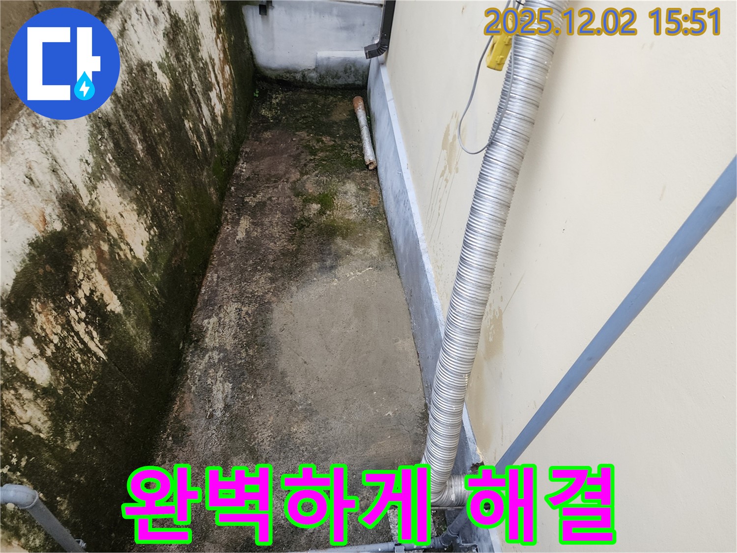 일동면 좁은 공간 곰팡이 제거 - 완벽한 시공으로 곰팡이, 냄새, 습기 문제 해결!