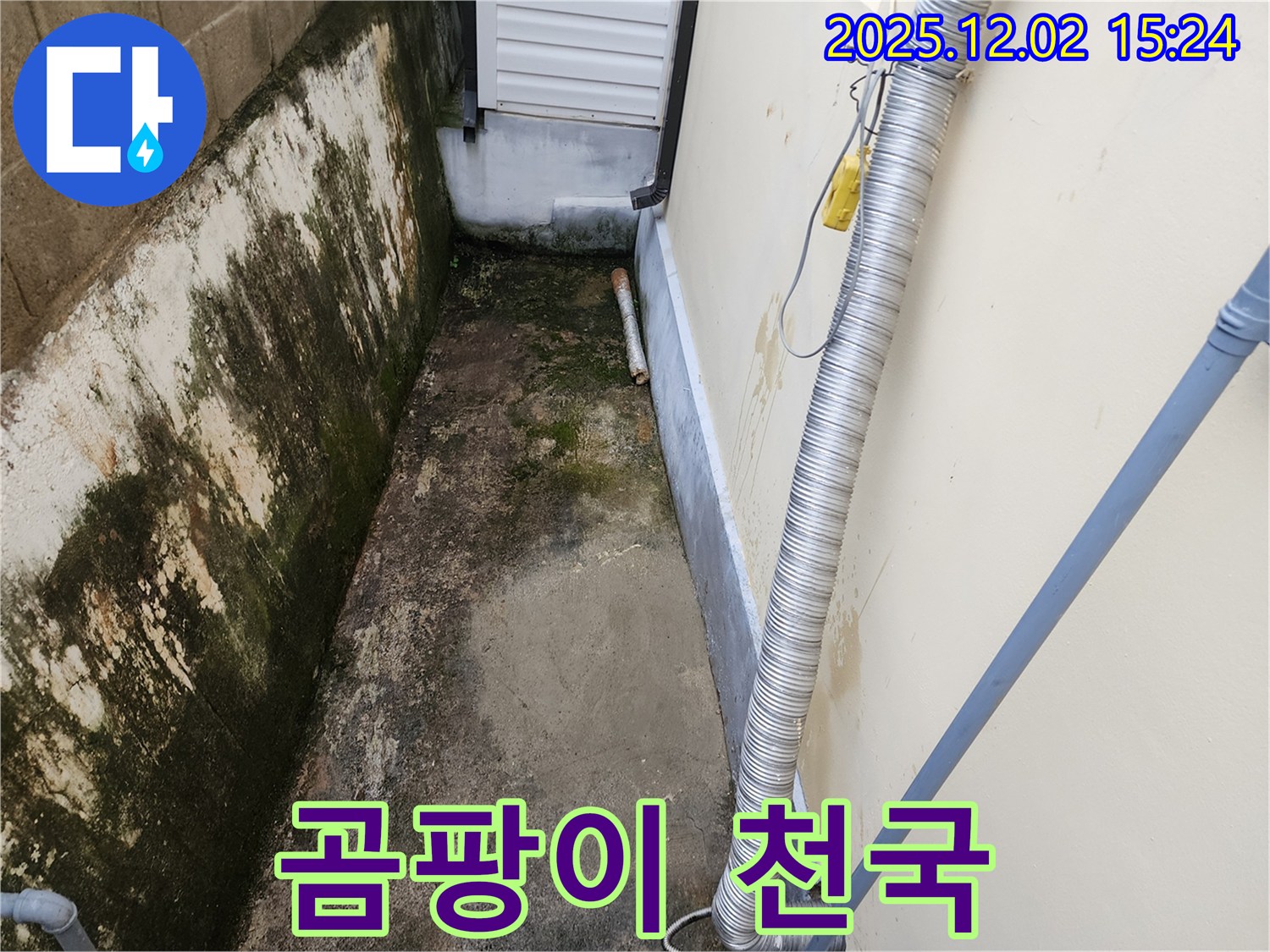 좁고 습한 공간 - 곰팡이가 번성하기 쉬운 환경입니다.
