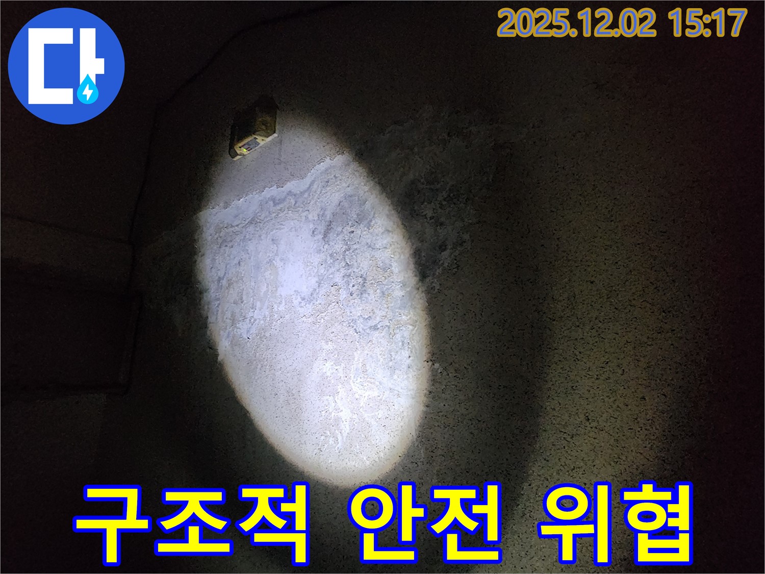콘크리트 곰팡이 - 구조적 안전