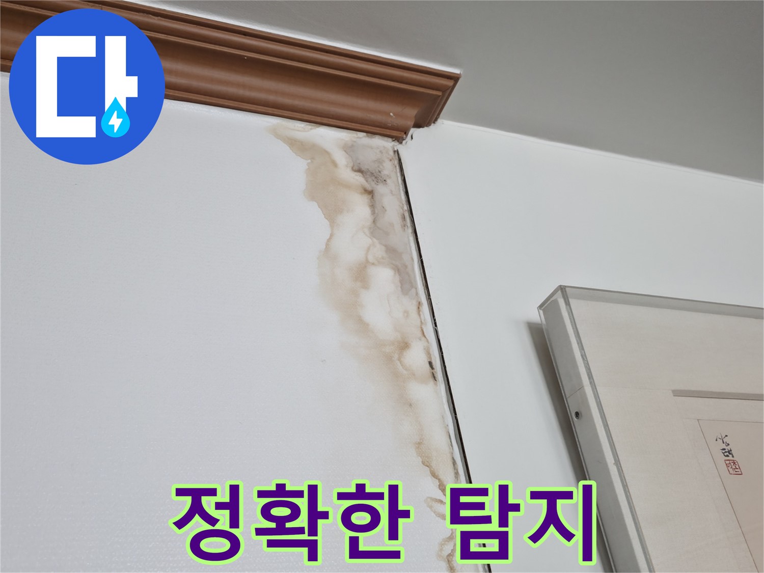 마포구 성암로 건영 월드컵 아파트 - 꼼꼼한 누수 탐지로 정확한 진단