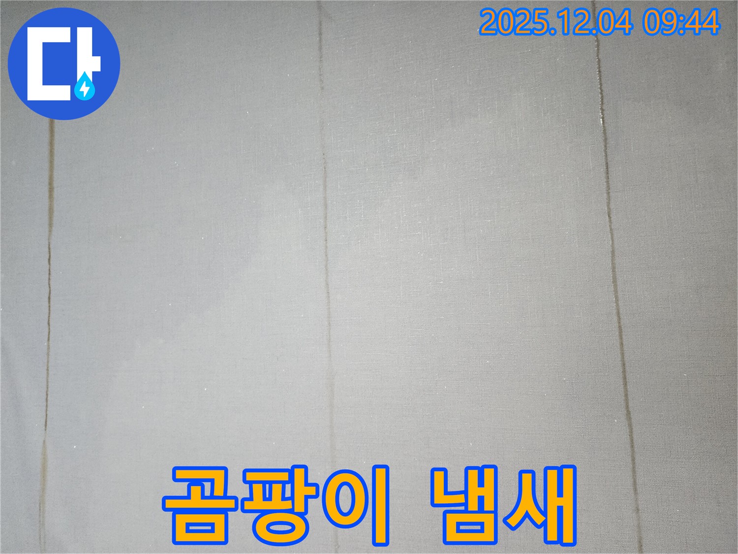 벽지 곰팡이 냄새 - 누수 자가 진단부터!