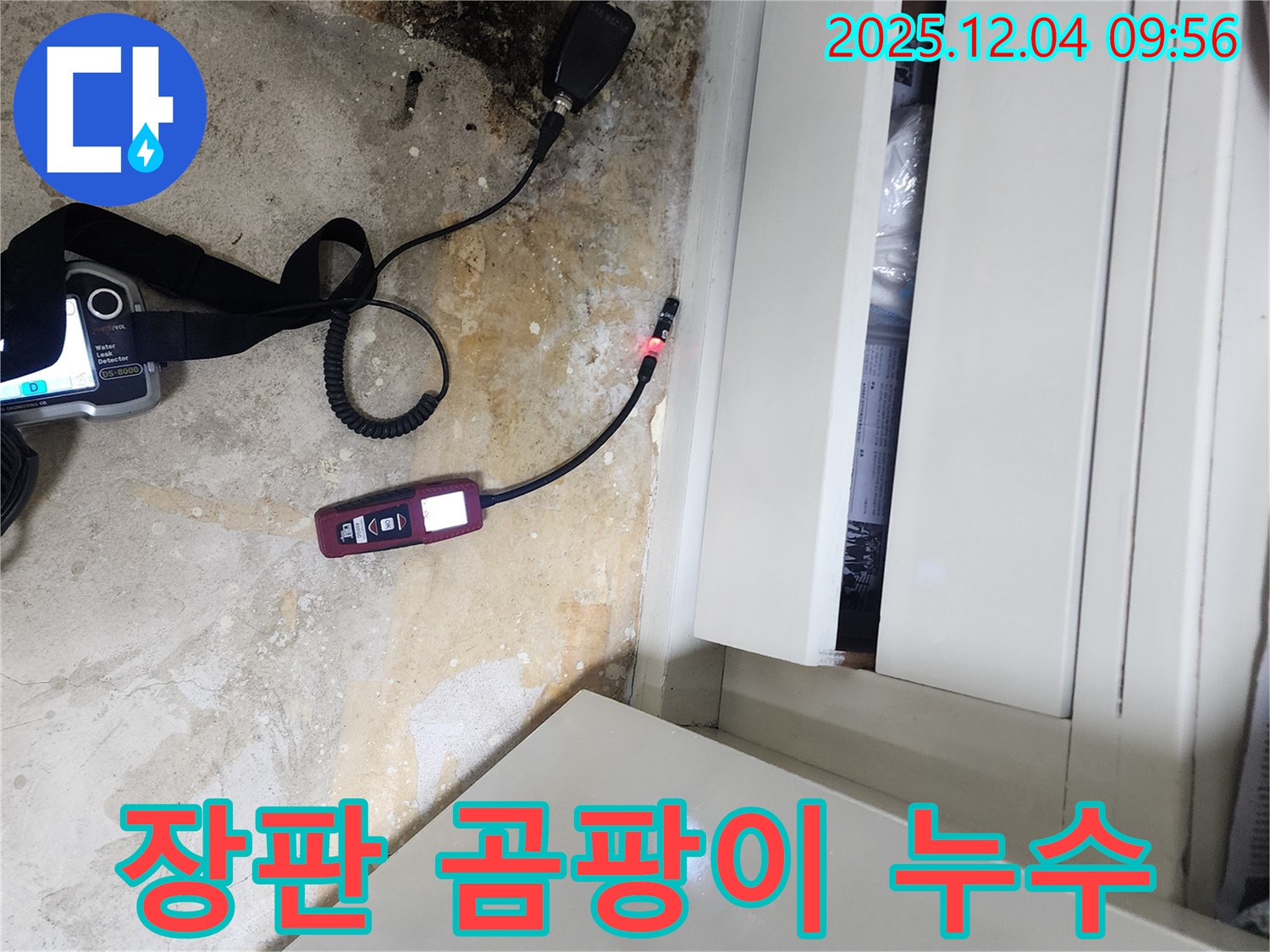 젖은 장판 밑 곰팡이 - 건강 위협, 누수 해결과 곰팡이 제거