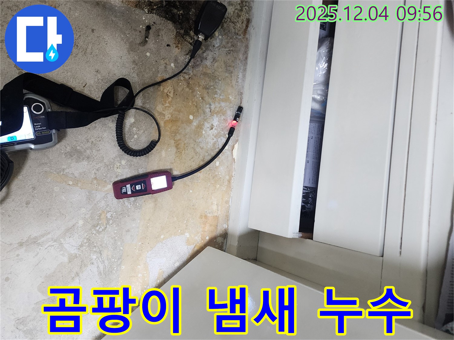 젖은 장판 밑 곰팡이 냄새 - 숨겨진 누수, 정밀 탐지로 해결
