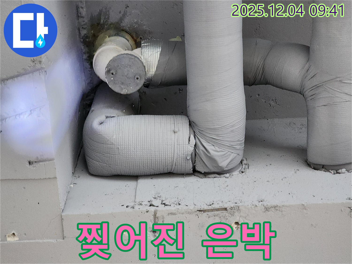 찢어진 은박 - 곰팡이 번식