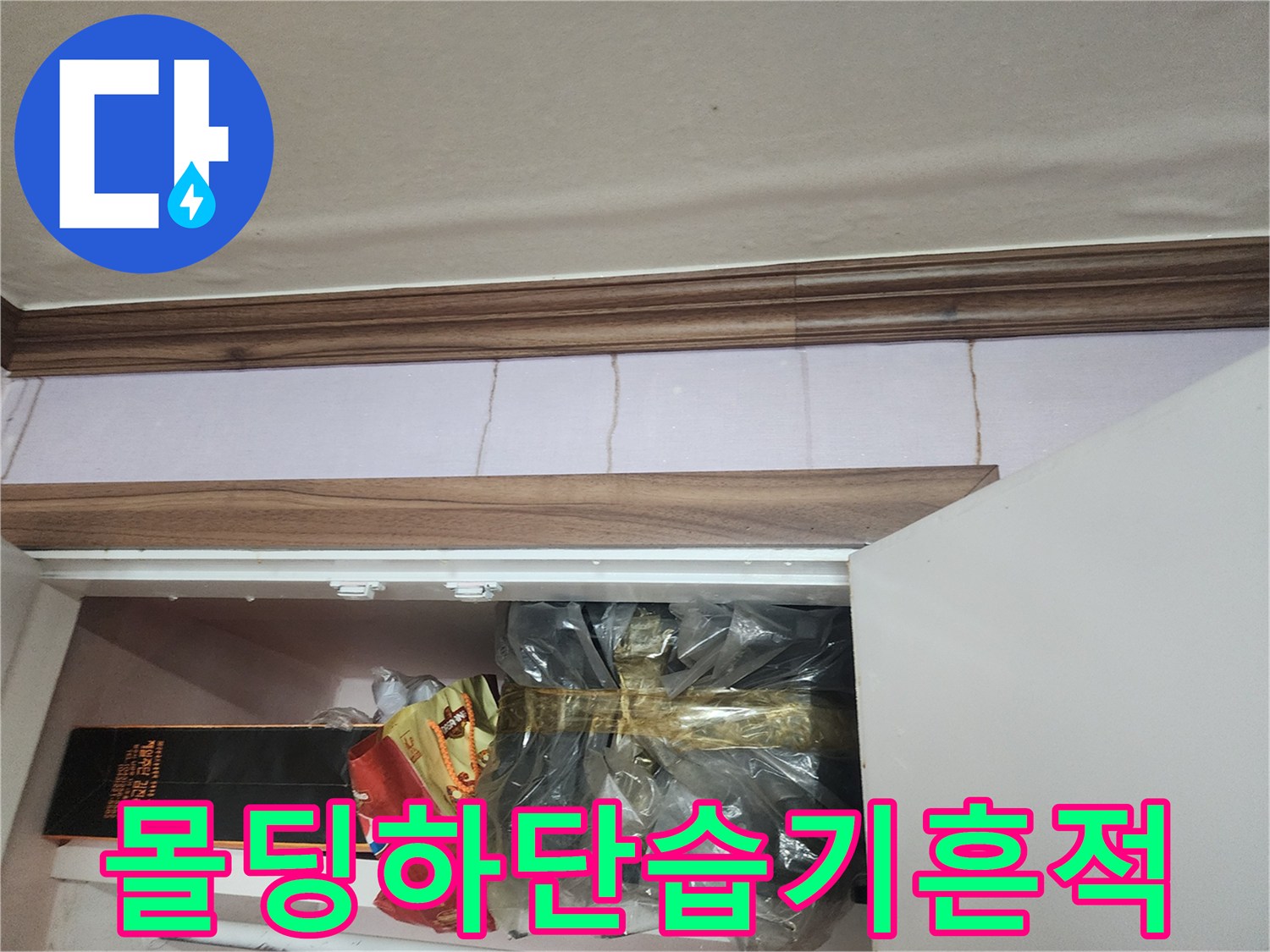 천장 몰딩과 벽면 사이의 습윤한 상태