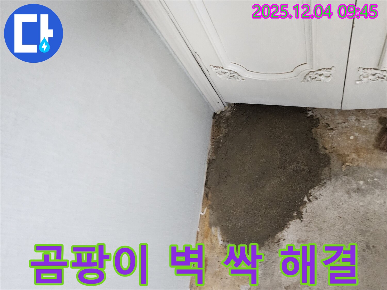 포천시 일동면 유동리 누수 - 곰팡이 핀 벽, 누수 해결하고 깨끗하게 싹!