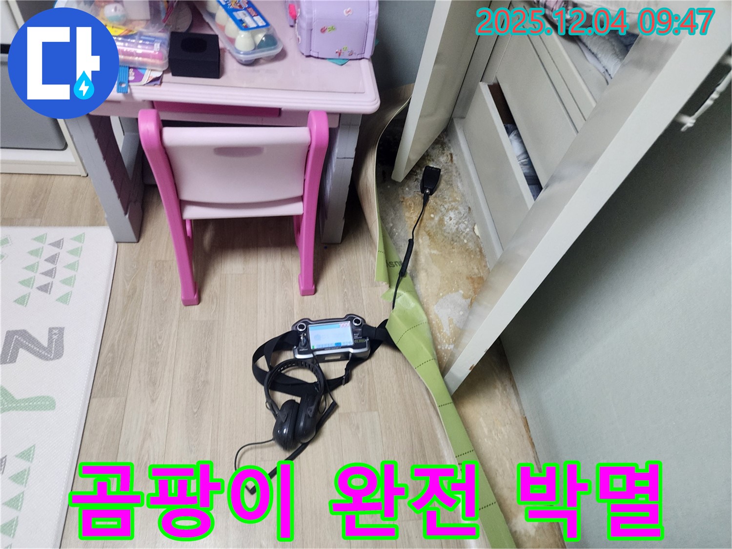포천시 일동면 유동리 누수 - 장판 밑 누수, 곰팡이 완전 박멸 작전을 시작합니다!