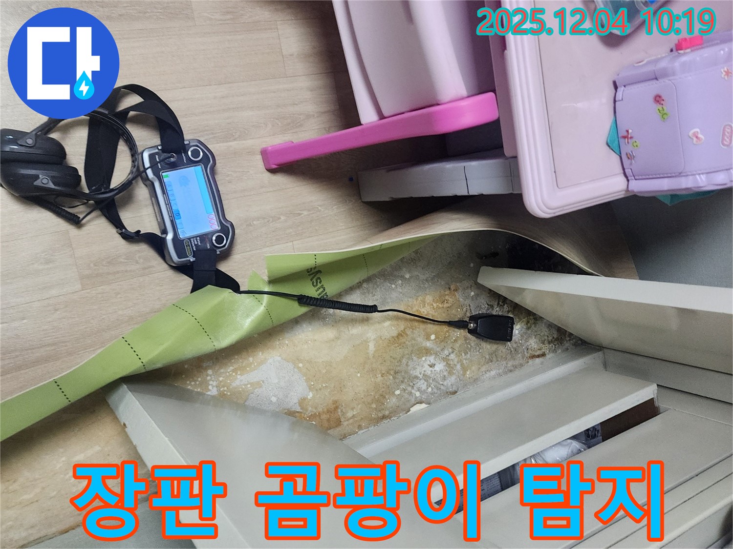 포천시 일동면 유동리 누수 - 장판 주변 곰팡이, 꼼꼼하게 탐지하고 있습니다!