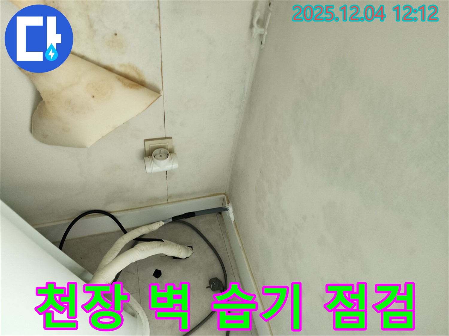 경기도 포천시 일동면 기산리 주택 누수 - 곰팡이 핀 천장과 벽면 습기 문제 해결을 위한 사전 점검을 실시하고 있습니다.
