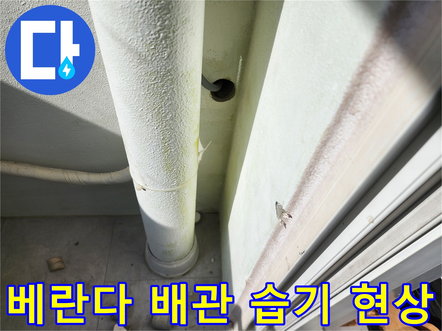 습기로 젖어 있는 외벽 연결 배관