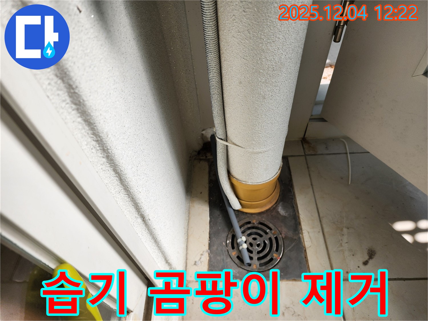 싱크대 - 하부장 곰팡이