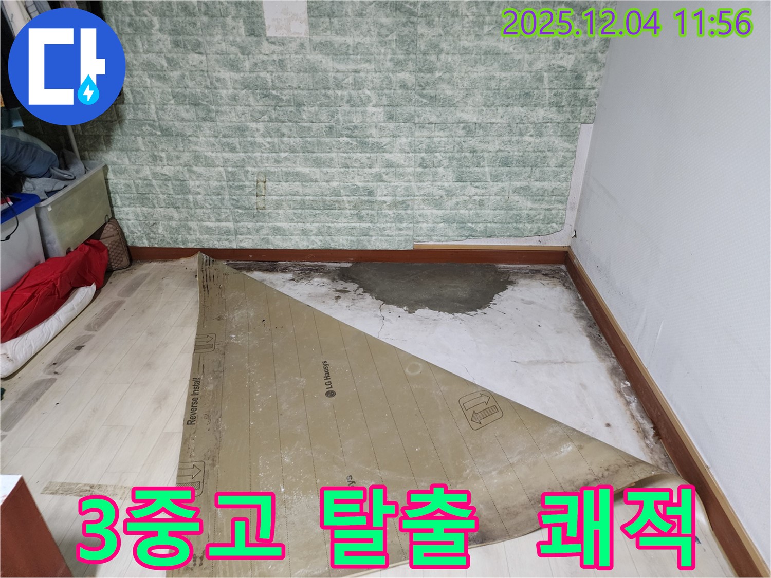 일동면 누수 - 썩은 장판 곰팡이 습기 3중고 탈출