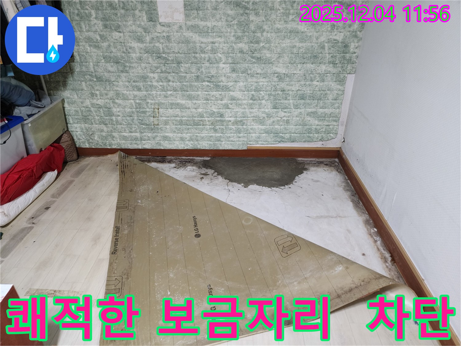 일동면 누수 - 썩은 장판 곰팡이 습기 완벽 차단 쾌적한 보금자리