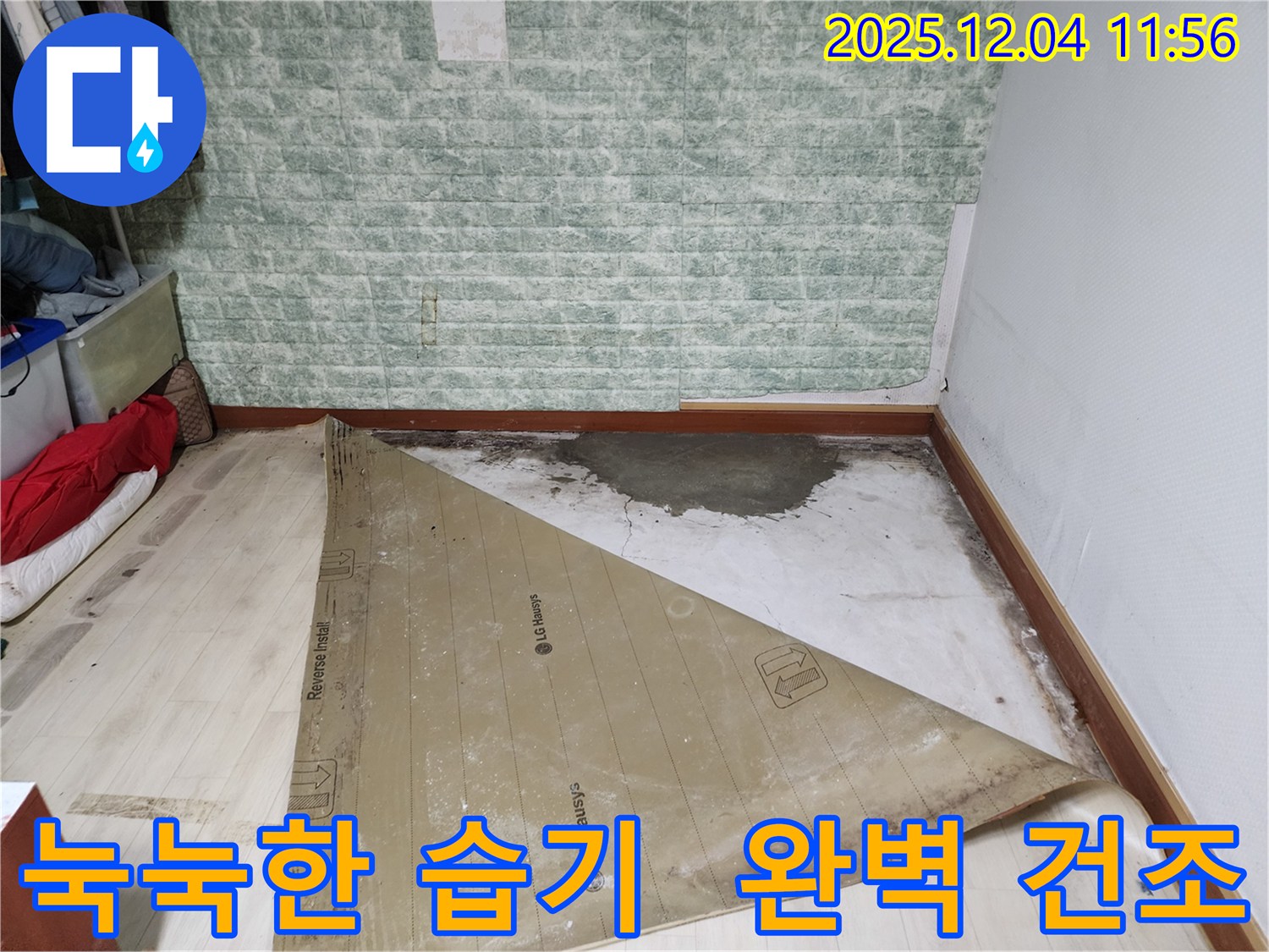 일동면 누수 - 썩은 장판 눅눅한 습기 완벽 건조
